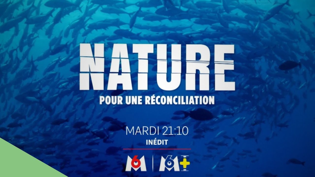Nature, pour une réconciliation – bande-annonce