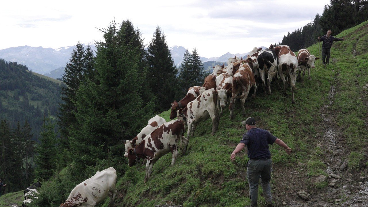 Être Paysan·ne, un film de Frédéric Gonseth & Catherine Azad - Trailer