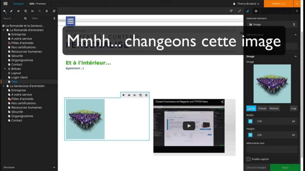 Neos, saisie simplifiée du contenu
