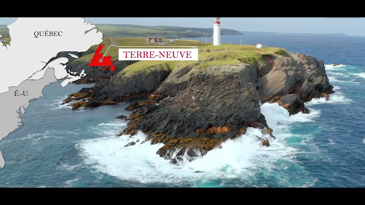 TERRE NEUVE